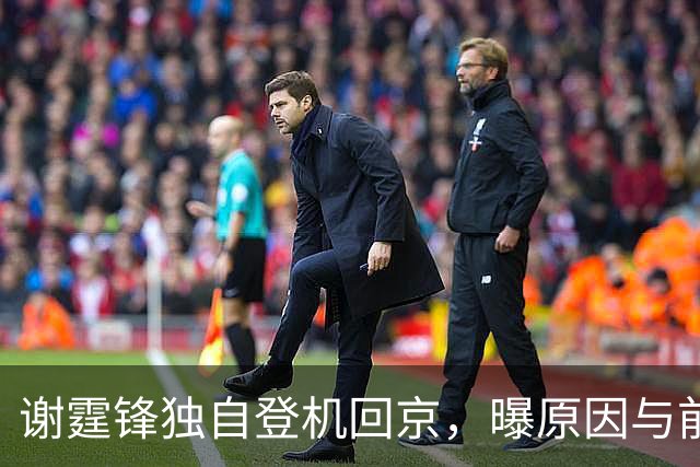 谢霆锋独自登机回京，曝原因与前妻有关，三胎谣言终结 柏芝成赢家